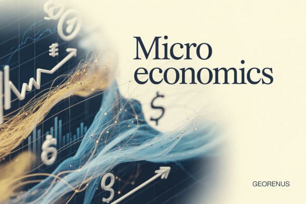 ব্যষ্টিক অর্থনীতি বা Micro Economics কী?