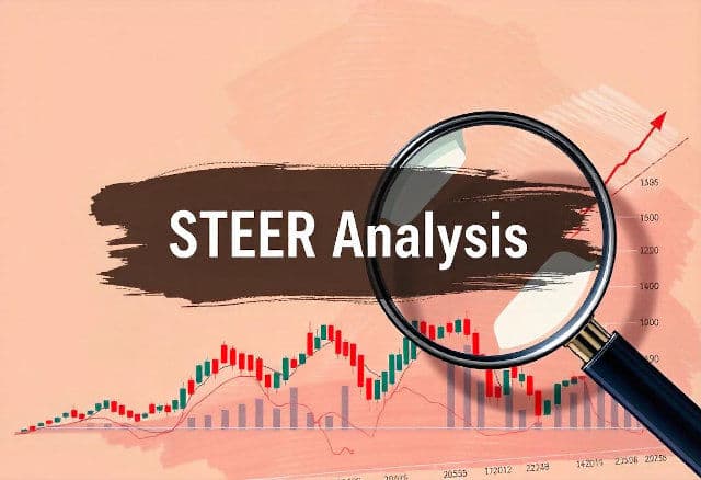 What is STEER Analysis: Definition with Examples